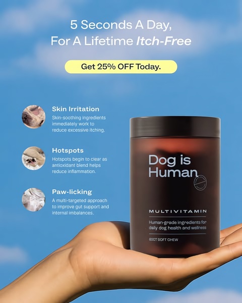 A 4:5 vertical ad creative for dog multivitamins that uses a lifestyle-focused hand-held product shot combined with clear benefit callouts to address pet health concerns.